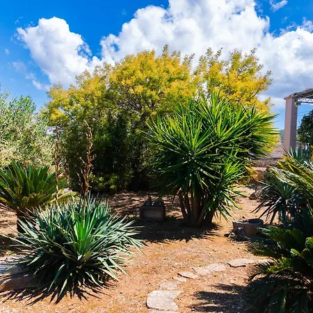 Agape - Three Bedroom On 15k M2 Olive Grove - Incredible 360 View - Free Parking - Private Pool And Jacuzzi Villa Mirce