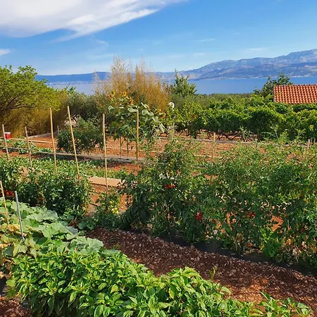 Agape - Three Bedroom On 15k M2 Olive Grove - Incredible 360 View - Free Parking - Private Pool And Jacuzzi