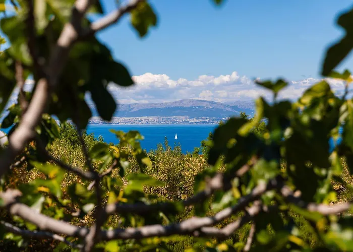 Agape - Three Bedroom On 15k M2 Olive Grove - Incredible 360 View - Free Parking - Private Pool And Jacuzzi Villa Mirce