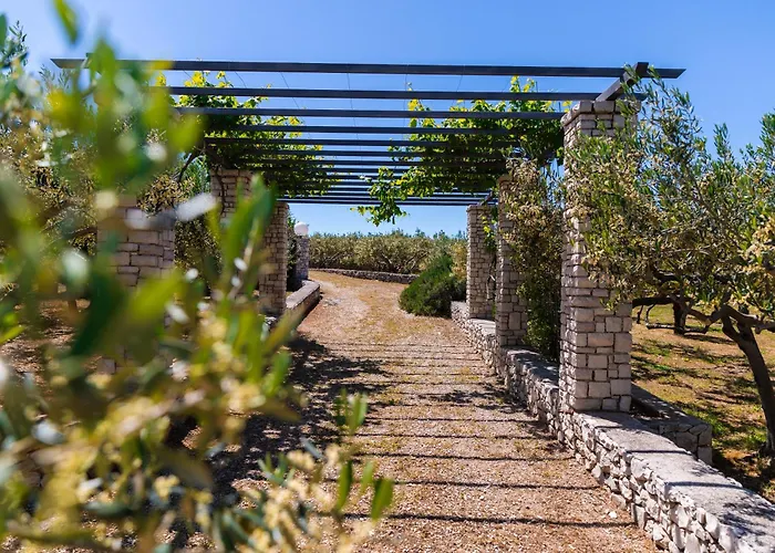 Agape - Three Bedroom On 15k M2 Olive Grove - Incredible 360 View - Free Parking - Private Pool And Jacuzzi Villa *