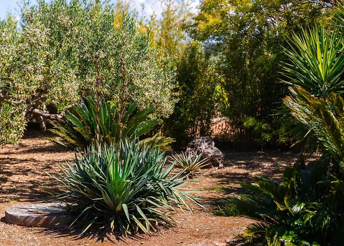 Agape - Three Bedroom On 15k M2 Olive Grove - Incredible 360 View - Free Parking - Private Pool And Jacuzzi Mirce