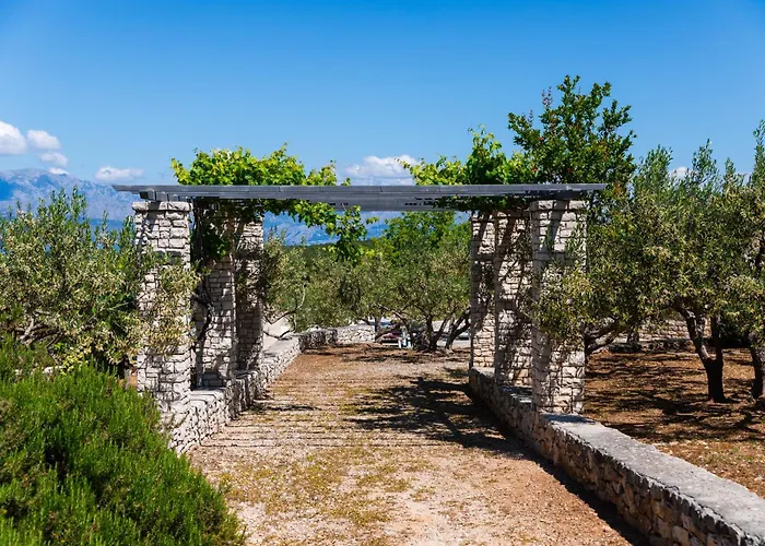 Agape - Three Bedroom On 15k M2 Olive Grove - Incredible 360 View - Free Parking - Private Pool And Jacuzzi Villa *