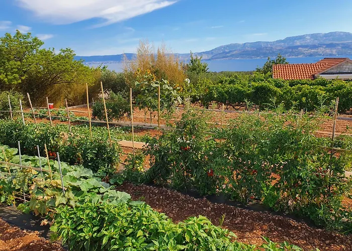 Agape - Three Bedroom On 15k M2 Olive Grove - Incredible 360 View - Free Parking - Private Pool And Jacuzzi